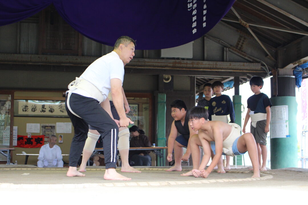 第79回わんぱく相撲秋季場所